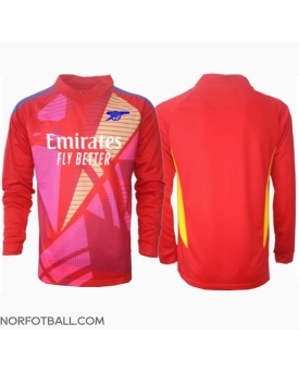 Billige Fotballdrakt Arsenal Keeper Replika Bortedrakt 2024-25 Langermet